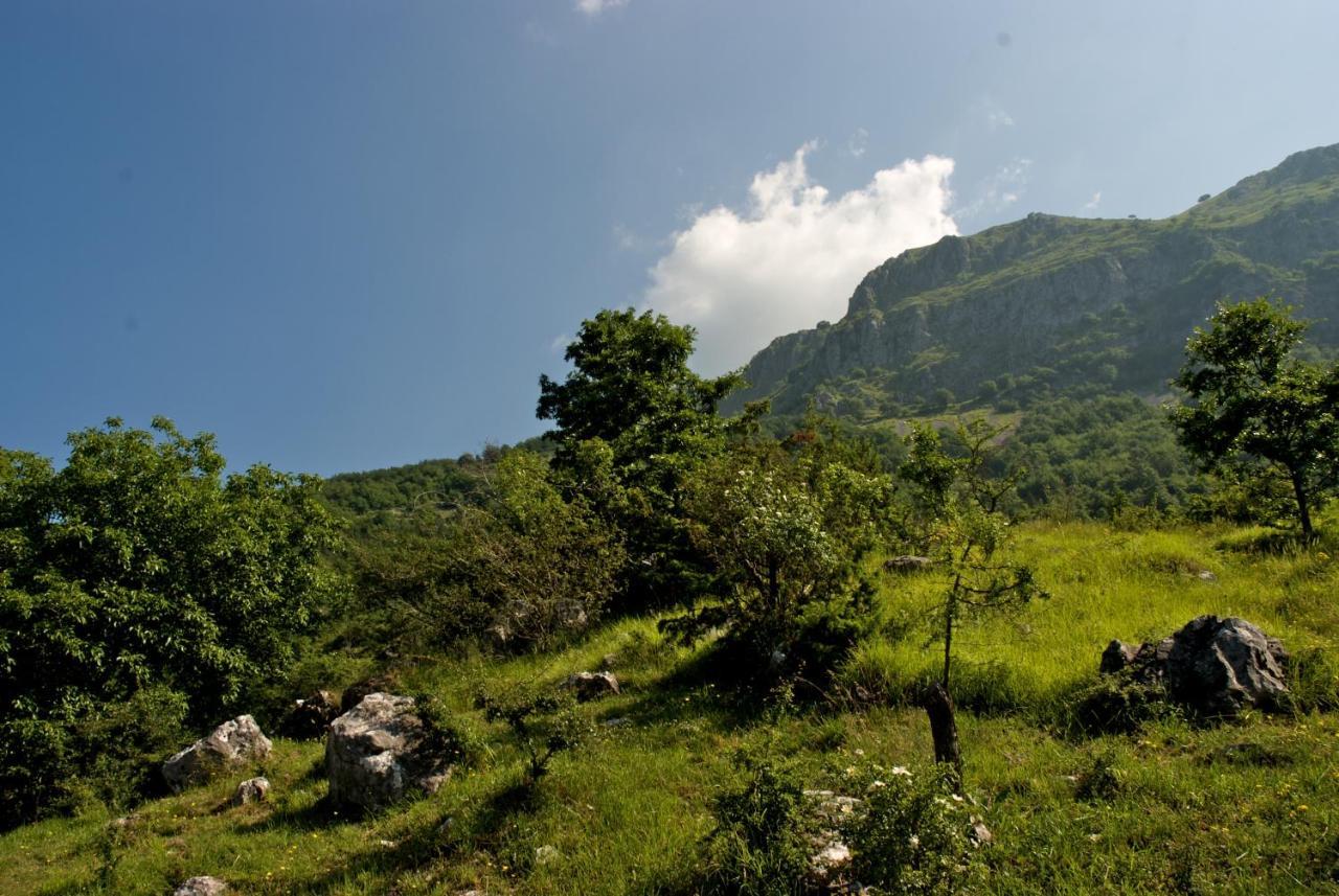 Alpeggio Pruno Villa Corfino ภายนอก รูปภาพ